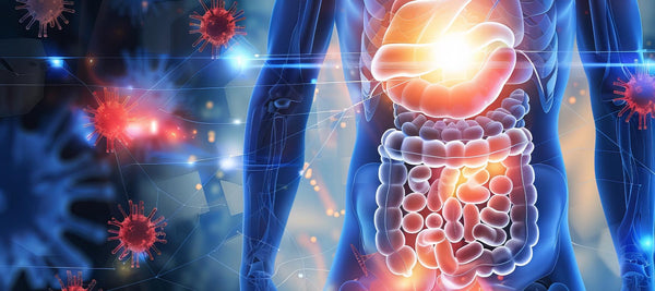 How Calming The Gut Strengthens our Health & Immunity Beyond Just Colds & Flu