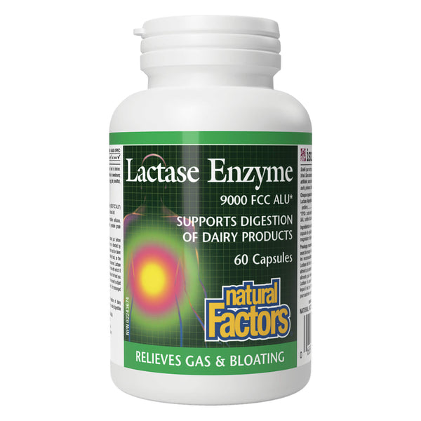 Bottle of Natural Factors Lactase Enzymes 60 Capsules