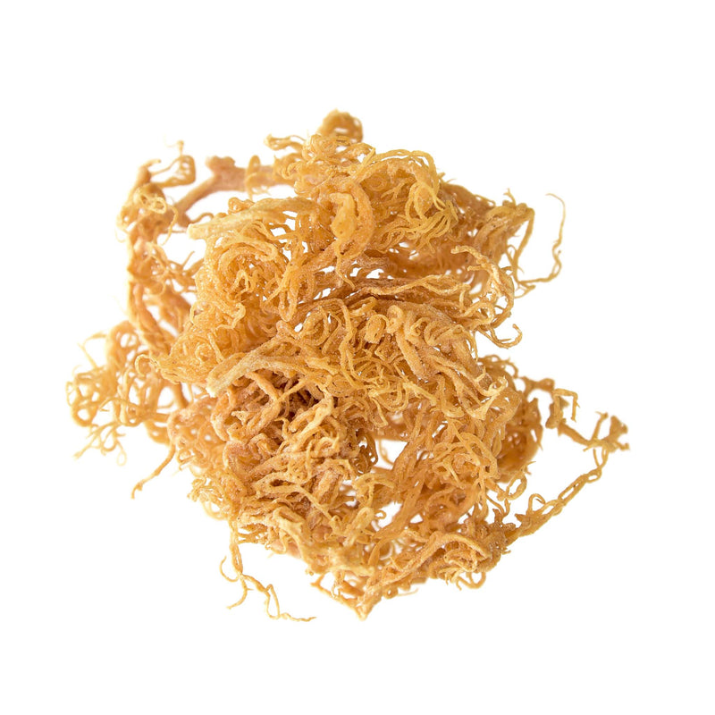 Sea Moss