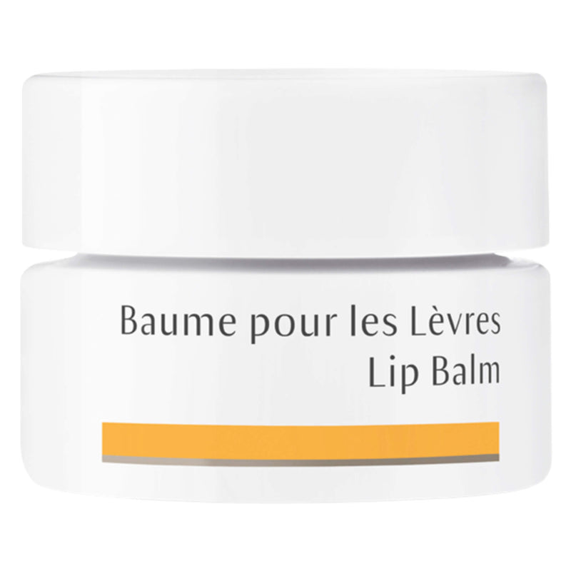 Jar of Dr. Hauschka Lip Balm 4.5 Milliliters